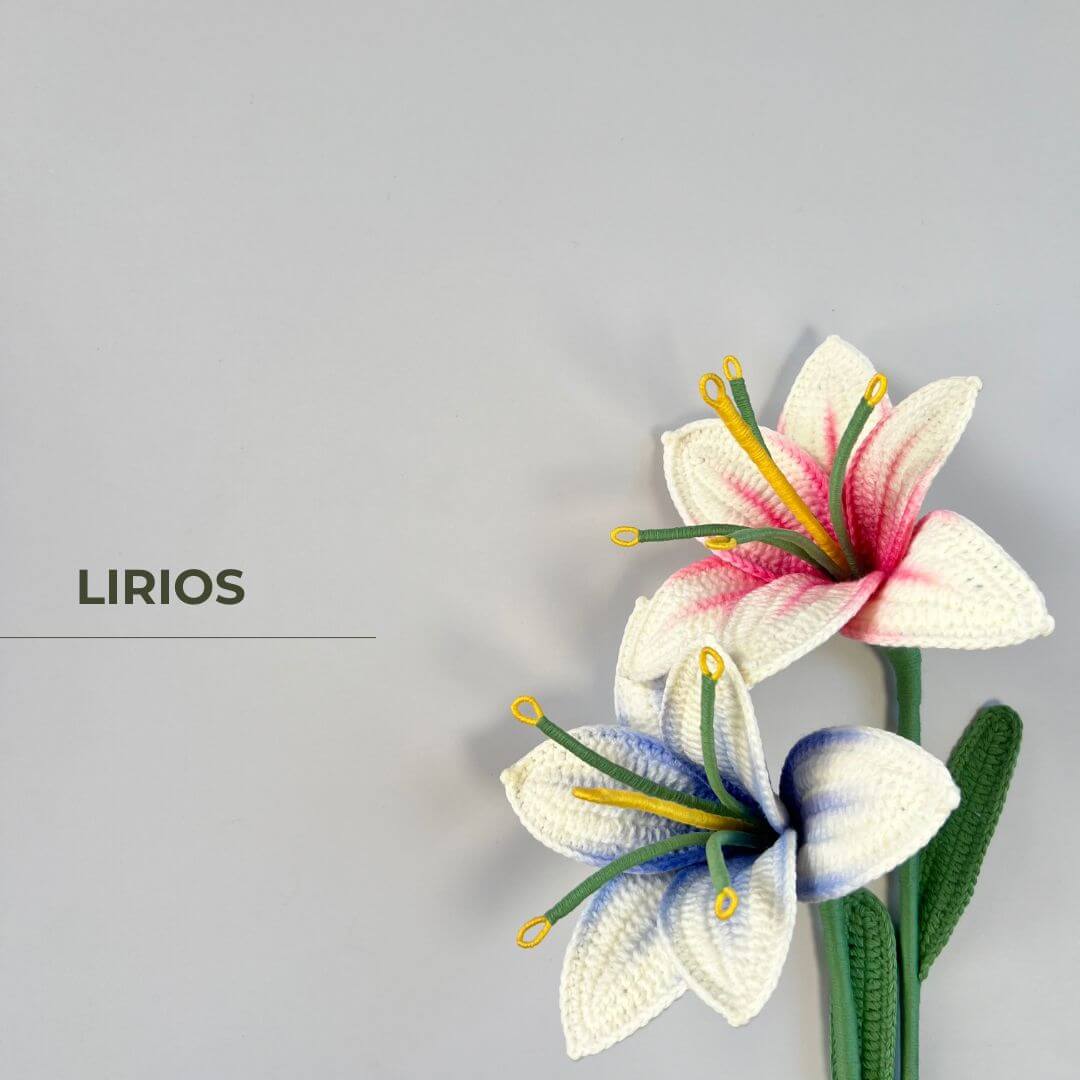 LIRIOS