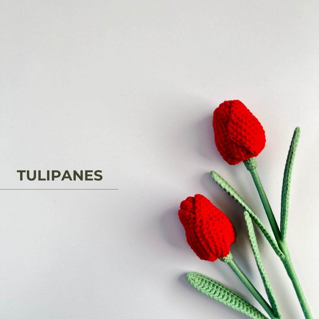 TULIPANES