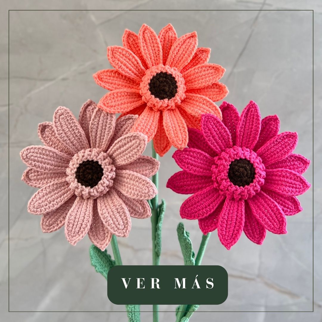 GERBERAS